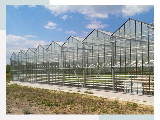 Строительство теплиц в Сорочинск от 620 руб. за м²