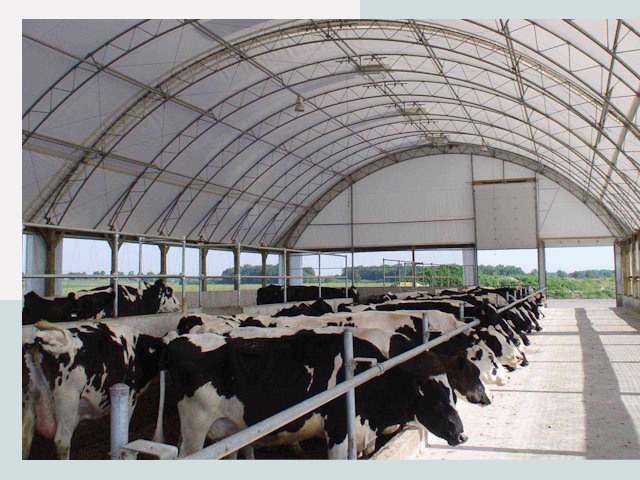 Тентовые коровники в Сорочинске